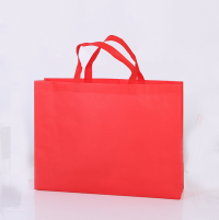 EPB003 Design non-woven bag Customized green tote bag Supply green bag Eco bag manufacturer Eco bag price detail view-1 EPB003 Design non-woven bag Customized green tote bag Supply green bag Eco bag manufacturer Eco bag price detail view-1